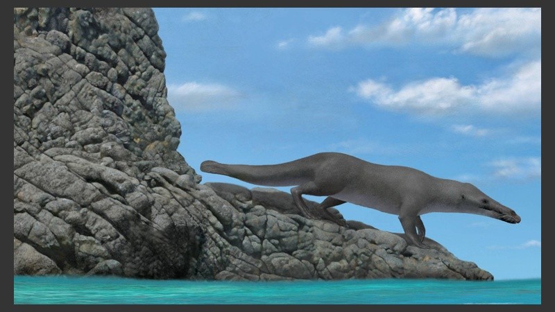 Los restos fueron hallados en la playa de Media Costa, en Perú.