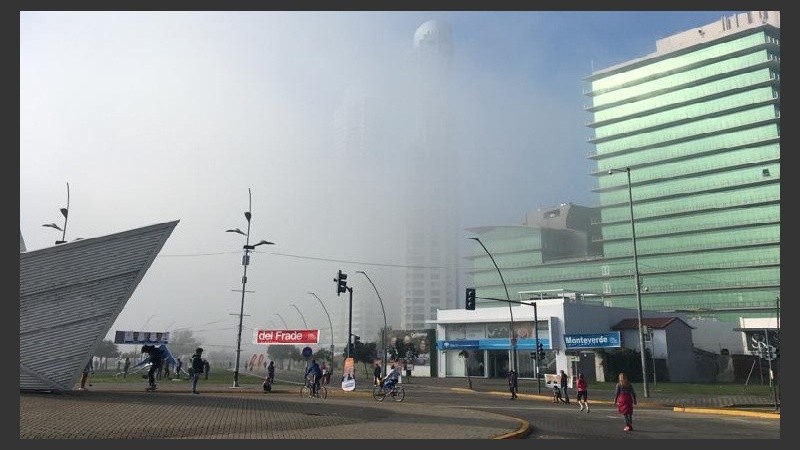 Sobre el río, una verdadera nube superficial.