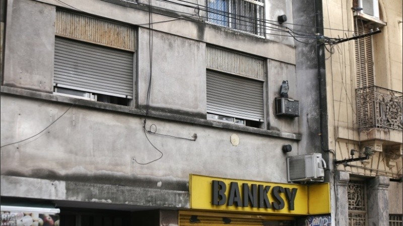 El búho esperando por las palomas en la ventana del departamento del centro de Rosario. 