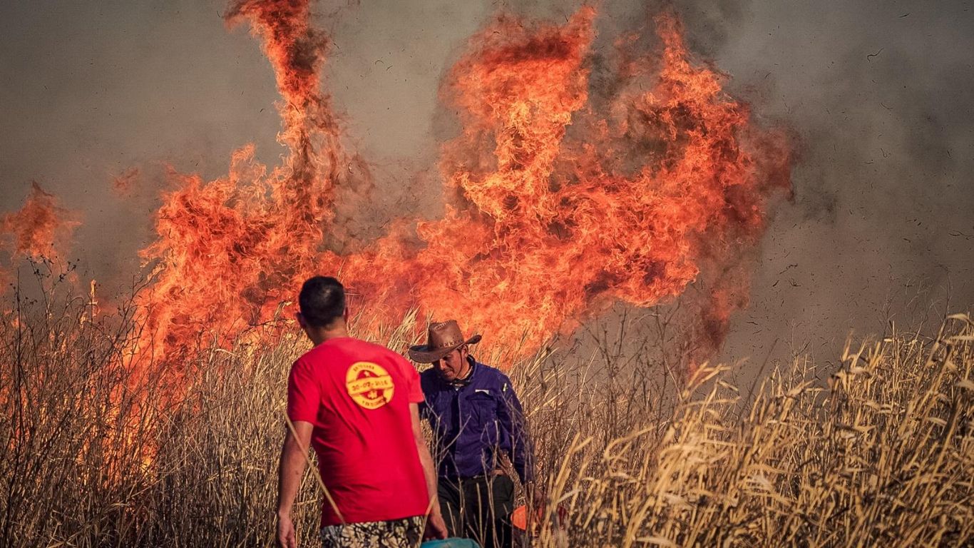 Fuego en las islas: un cortafuego urgente a la mala gestión y para coordinar fuerzas