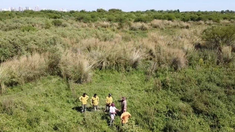 Una cuadrilla supervisa la realización de cortafuegos en las islas este año.