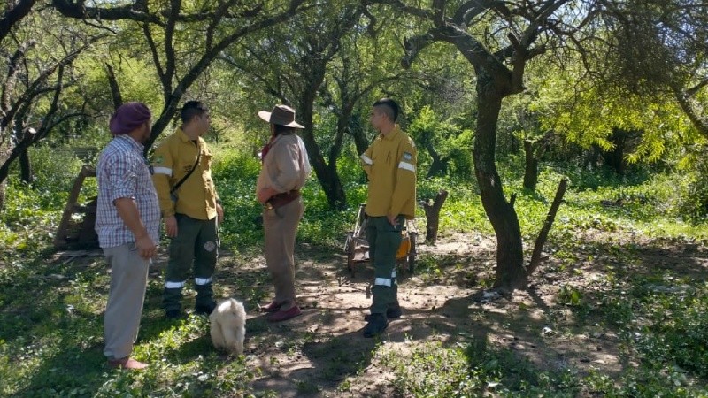 Una cuadrilla supervisa la realización de cortafuegos en las islas este año.