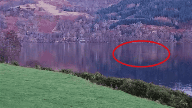 Eoin acumula varias entradas en el Registro oficial de avistamientos.