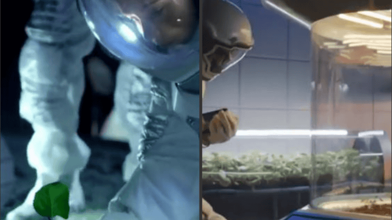 Se espera que la tecnología pueda instalarse en la Luna y Marte para recolectar energía verde.