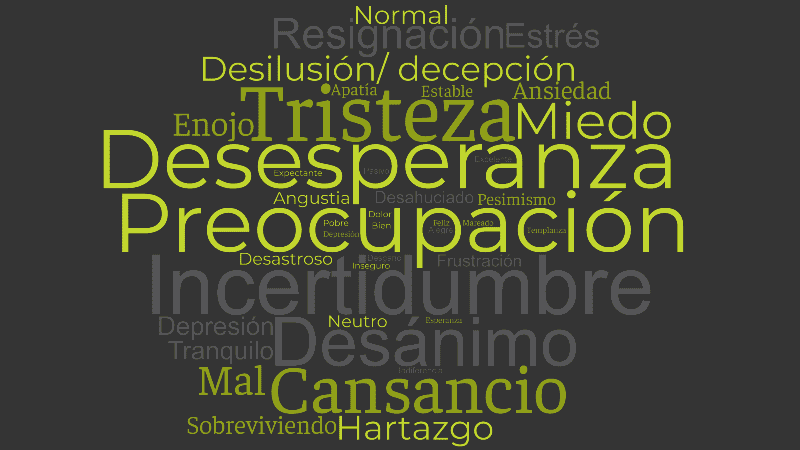 La nube de palabras que generaron las opciones elegidas por los encuestados.