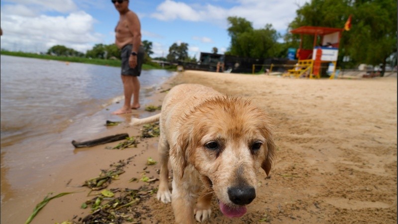 El verano se instaló en el calendario y en el aire de la región.