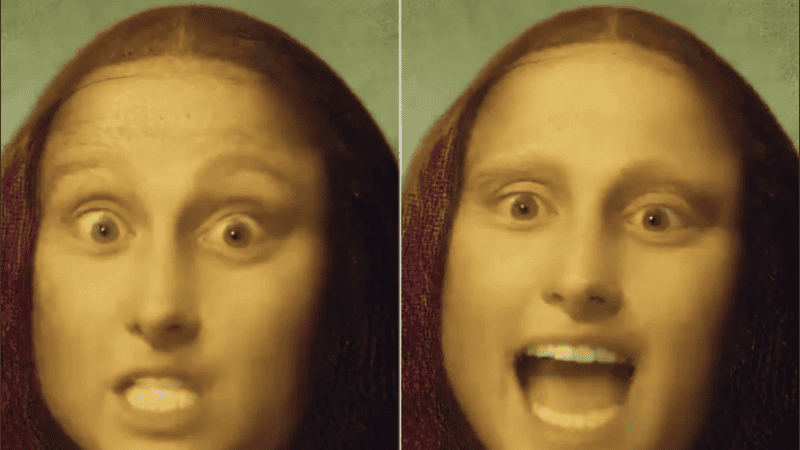 El entrenamiento del modelo incluyó una amplia gama de videos faciales.