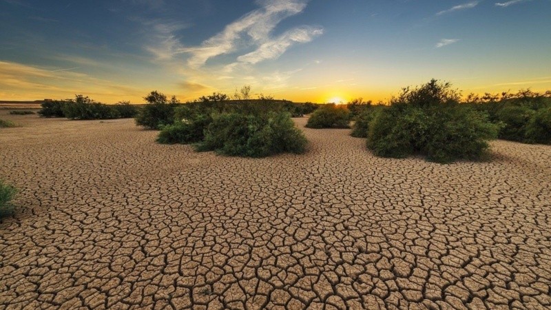 Hasta un 40% de la superficie de la tierra está degradada, según datos de Naciones Unidas.
