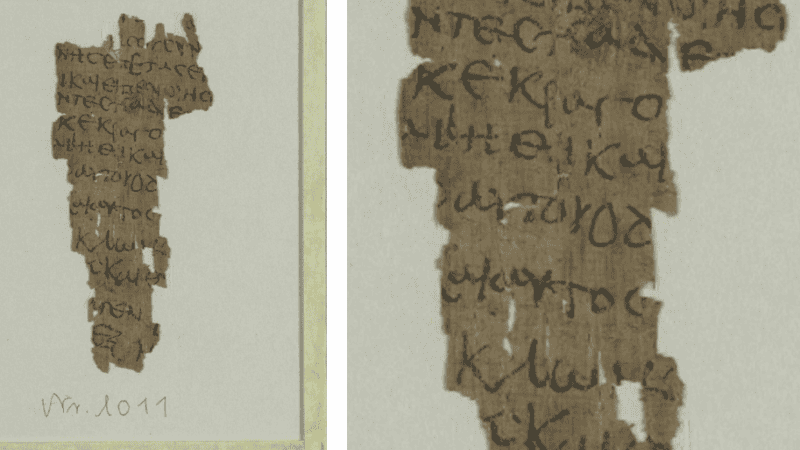 El papiro fue encontrado en la Biblioteca Estatal y Universitaria de Hamburgo.