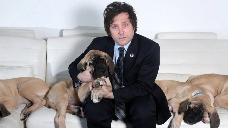 Plantean una pena de prisión de 6 meses a 3 años.