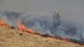 El último incendio en las islas arrasó un área casi del tamaño de V. G. Gálvez