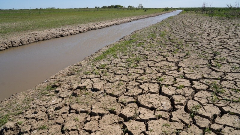 El agua estancada por el curso cerrado de forma artificial y la falta de lluvias.