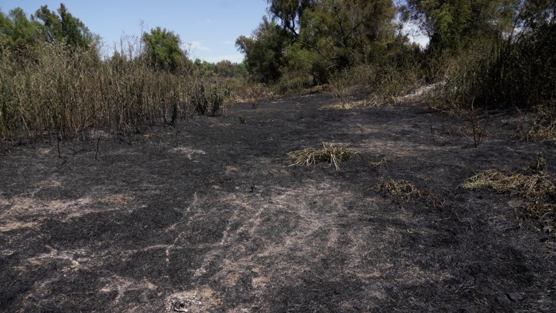 La tierra quedó chamuscada e inerte.