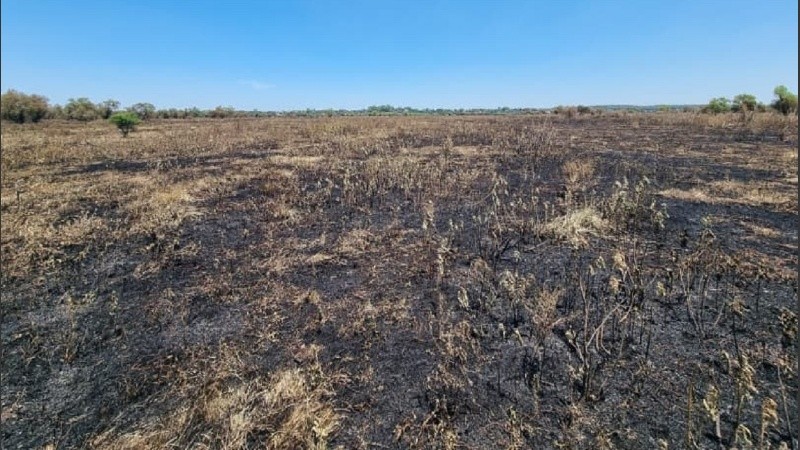 Así quedaron varios sectores de la isla arrasados por el fuego desde el jueves.