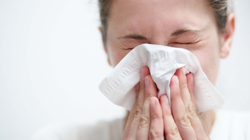 El hallazgo podría allanar el camino para vacunas dirigidas a múltiples variantes de la gripe.