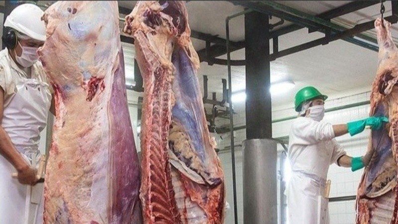 La faena cayó un 4% en Santa Fe durante 2024