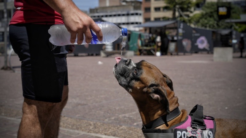 Un poco de agua en el horno que fue Rosario este jueves.