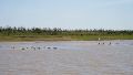 Aguas del río Paraná frente a Rosario.