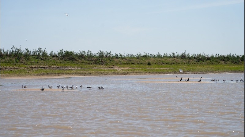 Aguas del río Paraná frente a Rosario.