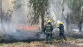 Arduo trabajo de bomberos de la región para contener las llamas en la planta de Celulosa en Capitán Bermúdez