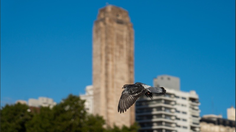 Mucho celeste, a pesar del pronóstico.