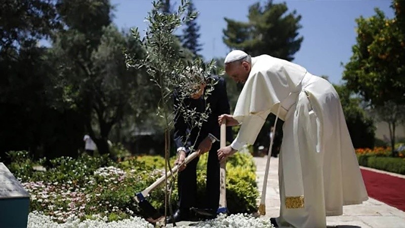 El texto “Laudato si'