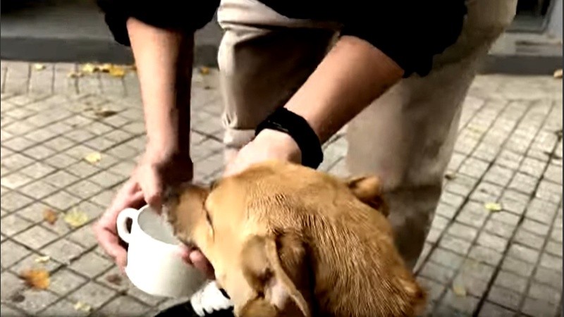 Olga fue hidratada apeanas logró su libertad.