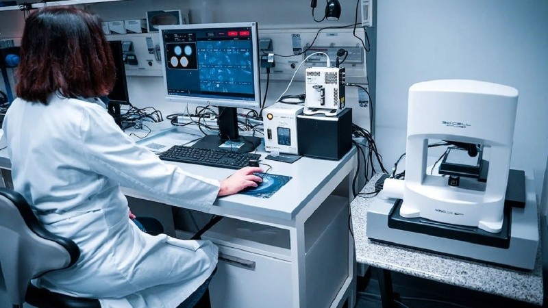 Investigadores brasileños desarrollaron una herramienta que permite medir la agresividad de tumores mediante inteligencia artificial.