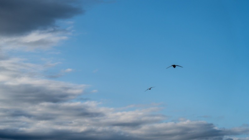 El sol irá dejando atrás las nubes con el correr de los días.