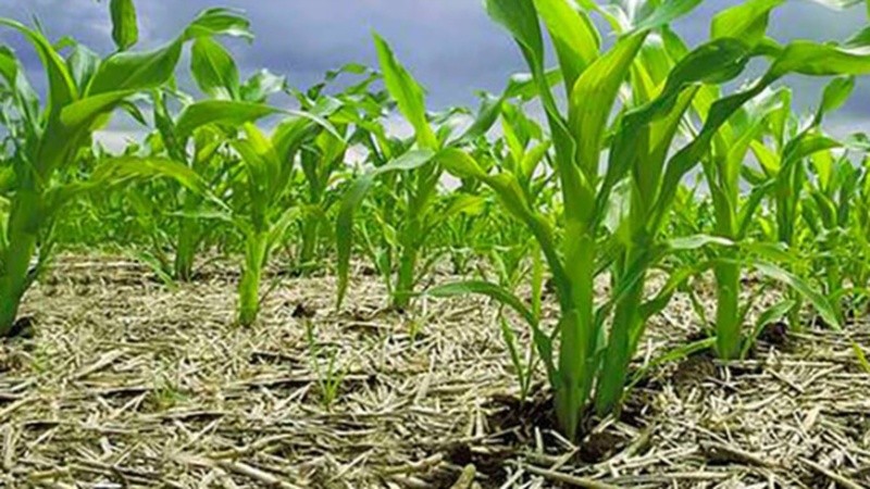 La meta es que Santa Fe encuentre en la agroecología un modelo de producción defendido constitucionalmente.