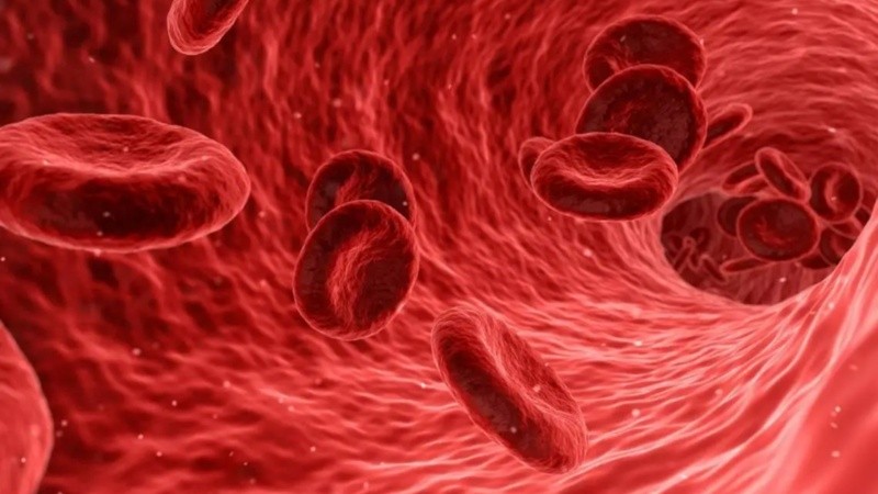 Casi el total de pacientes tratados en ensayos clínicos ha logrado vivir sin transfusiones durante, al menos, dos años.