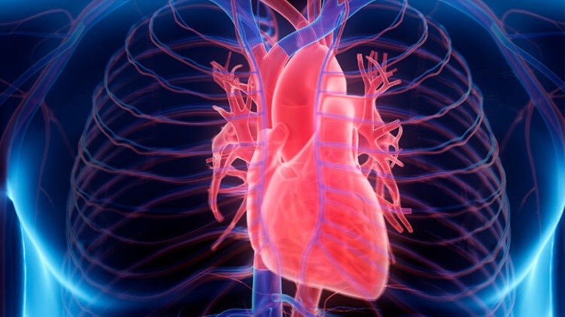 En Argentina, esta patología afecta al 2-3% de la población general.