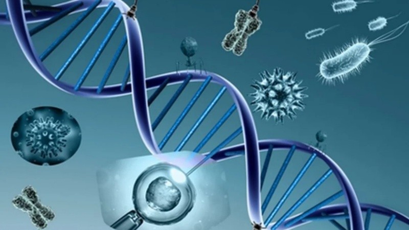 En Argentina se calcula que hay más de 400 personas viviendo con alguna de sus variantes, la mayoría niños y adolescentes.