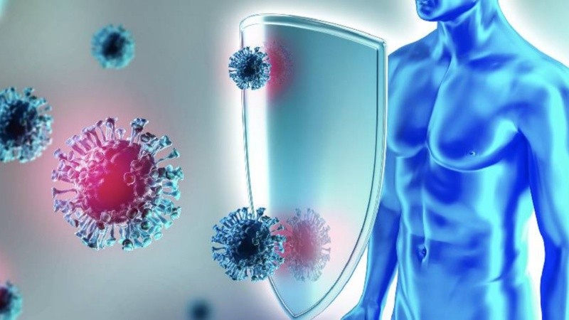 Expertos coinciden en que las relaciones sociales también ayudan a fomentar el sistema inmune.