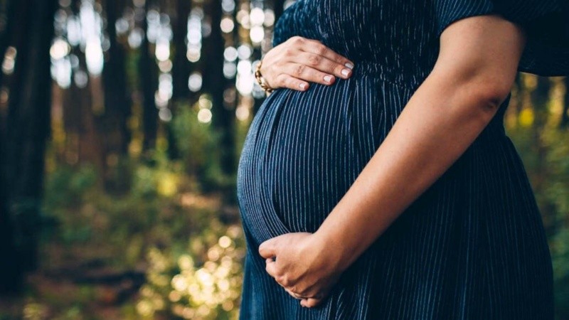 Durante la mitad y el final de la gestación el cerebro fetal entra en una fase clave de su desarrollo, lo que lo hace particularmente vulnerable a factores externos.