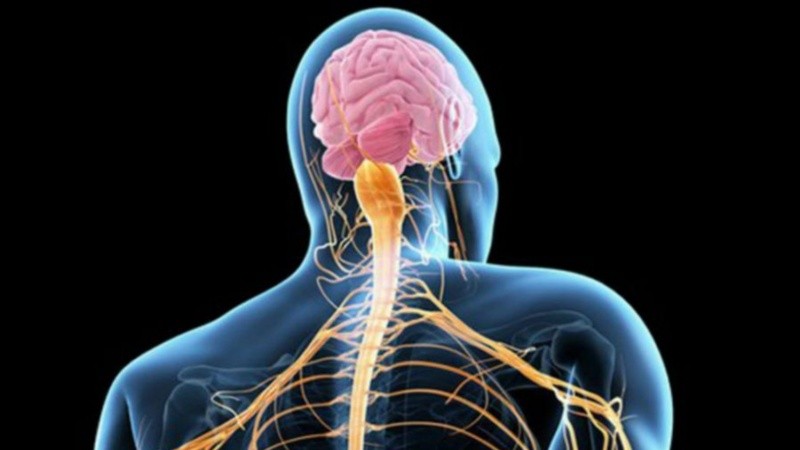 Afecta a entre 1 y 3 por cada 100.000 personas a nivel mundial.