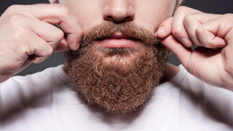 Dichos ingredientes contribuyen a una barba hidratada, fuerte y suave al tacto.