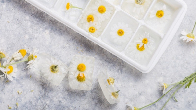 Un clásico ingrediente que no pasa desapercibido esta temporada.