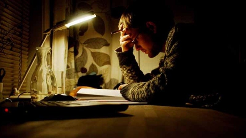 Estos hallazgos innovadores exhiben cómo la exposición a la luz artificial nocturna afecta a múltiples sistemas corporales.