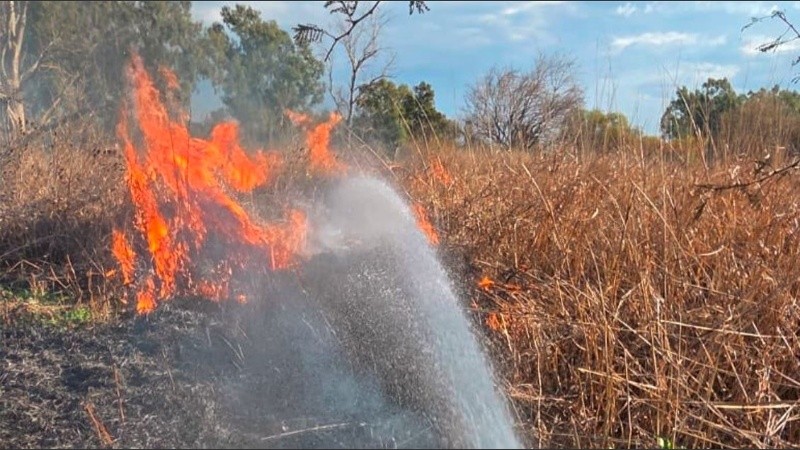 Pasado el mediodía acudieron dotaciones para frenar el fuego.