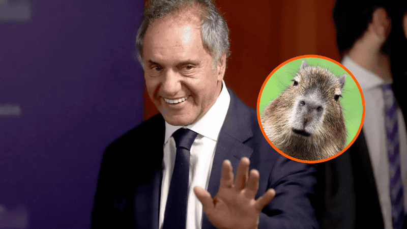 Se estima que hay más de 3 mil ejemplares en la zona norte del conurbano bonaerense.