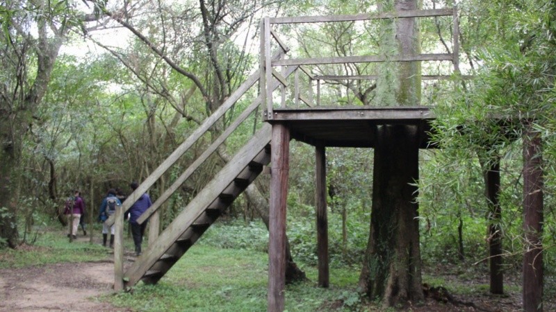 La reserva privada Doña Sofía está dentro del Sitio Ramsar Jaaukanigás.