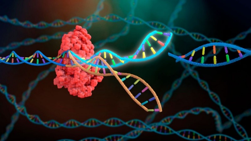El nuevo tratamiento, conocido como transferencia pronuclear, es eficaz para reducir el riesgo de estas enfermedades que actualmente son incurables.