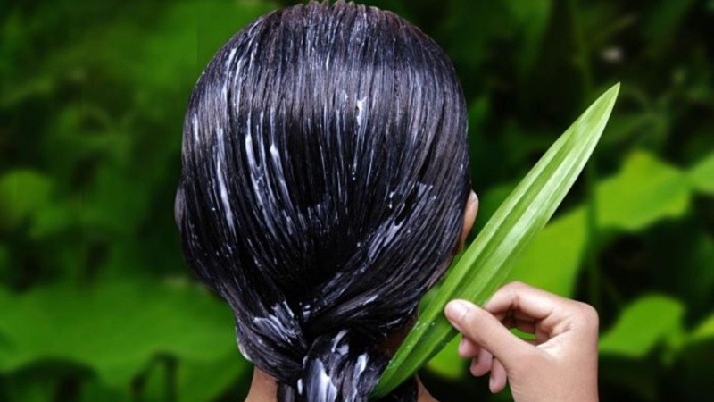 Uno de los comodines de la naturaleza con múltiples beneficios que no solo atañen al cabello.