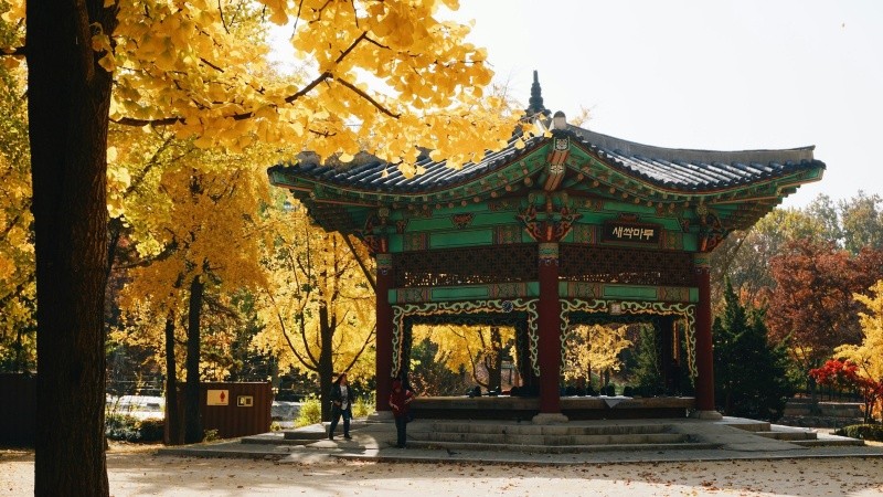 Seúl, en Corea del Sur, tuvo un crecimiento del 84 %.