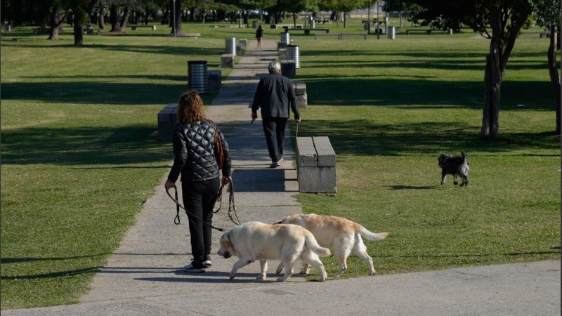 Al sol y con abrigo, se va a poder disfrutar del día.