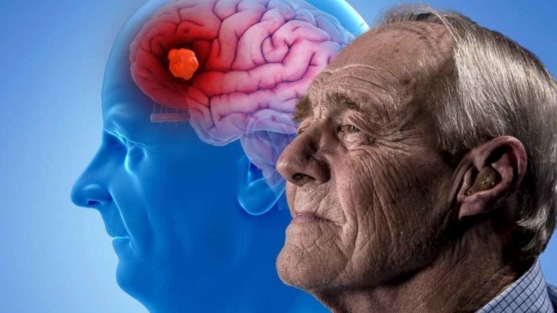 El trabajo de Sanchis abre una puerta hacia una futura cura del Alzheimer.
