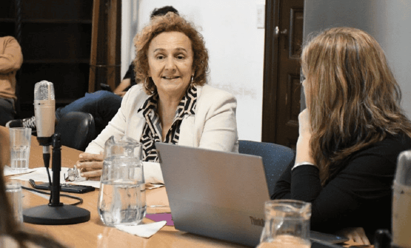 &nbsp;La concejala Alicia Pino llevó el proyecto de Taparelli a la comisión de Gobierno este miércoles, donde se debatirá las próximas semanas. (Concejo Rosario)