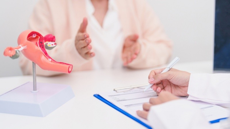 A partir de los mismos, podrían diseñarse intervenciones dirigidas a mejorar la salud de mujeres en la etapa perimenopáusica (antes de la menopausia) y postmenopáusica (luego de la menopausia).