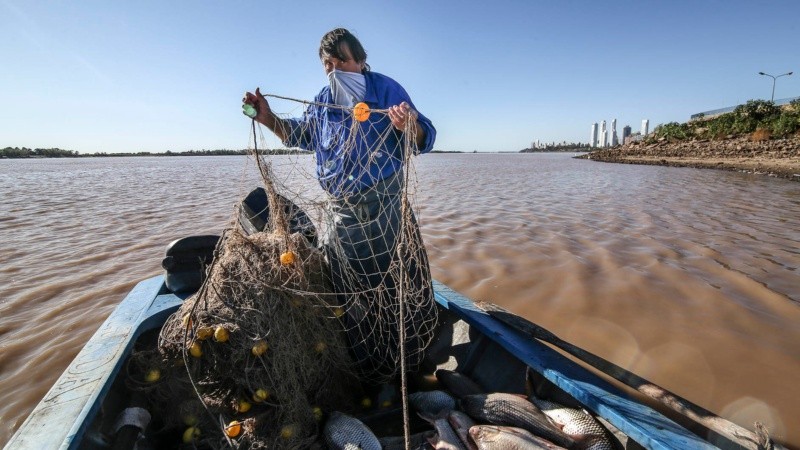 Se evalúa instalar el control pesquero en un sector de la costanera norte. (Alan Monzón/Rosario3)